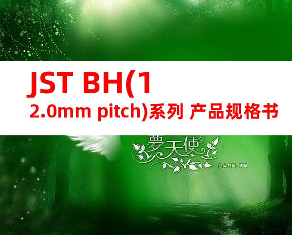 JST BH(12.0mm pitch)系列 产品规格书